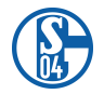Schalke 04 Arenascore 
