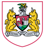 Bristol City FC Arenascore
