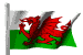 Wales Arenascore