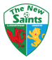 The New Saints Arenascore