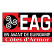 Guingamp arenascore