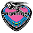 Sagan Tosu arenascore