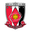 Urawa Red Diamonds arenascore