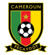 Cameroon arenascore