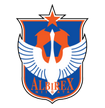 Albirex Niigata arenascore