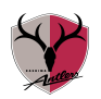 Kashima Antlers Arenascore