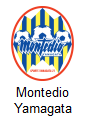 Montedio Yamagata Arenascore
