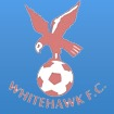 Whitehawk FC Arenascore