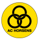 Horsens Arenascore