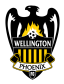 Wellington Phoenix Arenascore