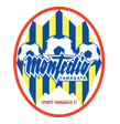 Montedio Yamagata arenascore