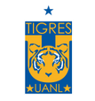 Tigres UANL arenascore