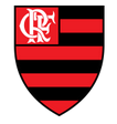 Flamengo U20 arenascore
