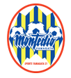 Montedio Yamagata arenascore