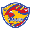 Vegalta Sendai arenascore