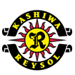 Kashiwa Reysol arenascore