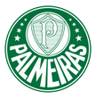 Palmeiras U20 arenascore