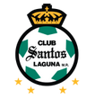 Santos Laguna arenascore