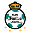 Santos Laguna arenascore